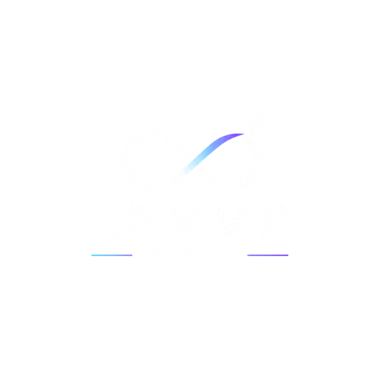 Levve Pay